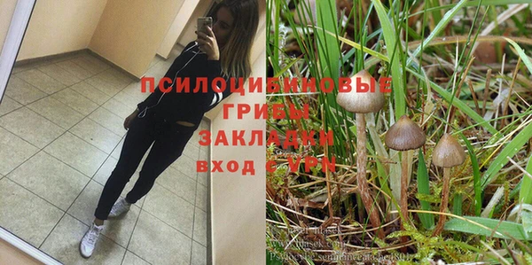тгк Баксан