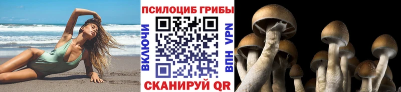 продажа наркотиков  Межгорье  Галлюциногенные грибы ЛСД 